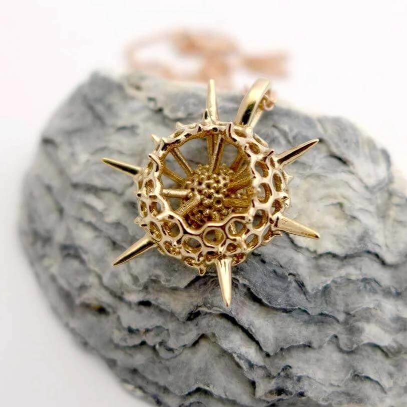 Spumellaria Radiolarian small Pendant [Ontogenie Science Jewelry] micropaleontology