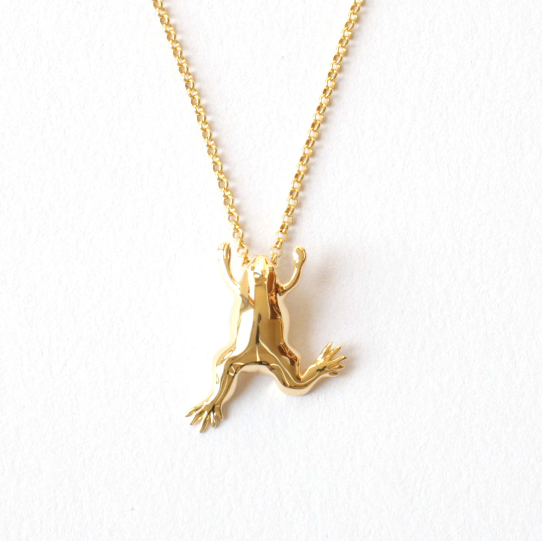 Xenopus African Clawed Frog Pendant in 14K gold plated brass by Ontogenie Science Jewelry