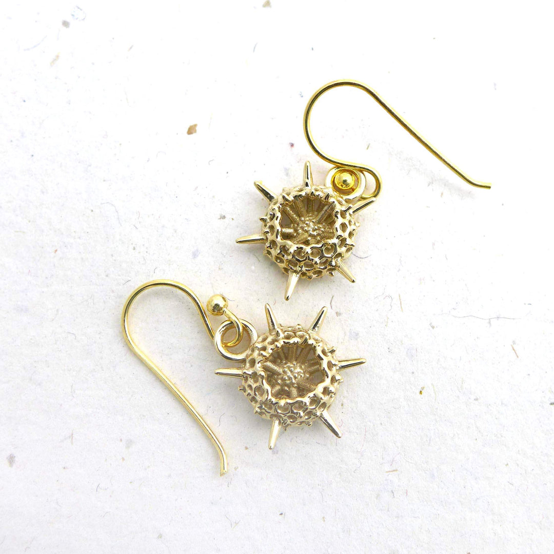 spumellaria earrings in 14K gold plated brass ontogenie science jewelry