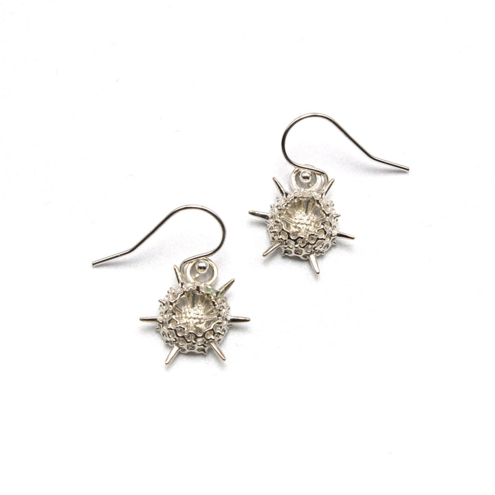 radiolaria hydrozoan earrings sterling silver ontogenie science jewelry