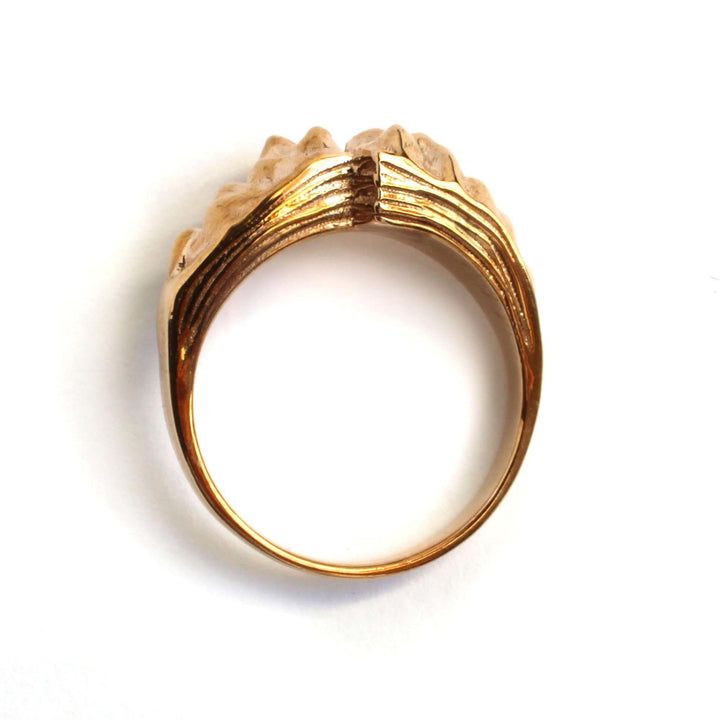Strike Slip Fault Ring [Ontogenie Science Jewelry] geology jewelry