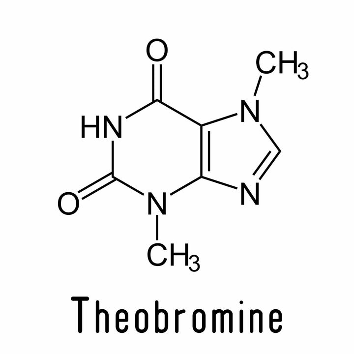 Theobromine chemical structure
